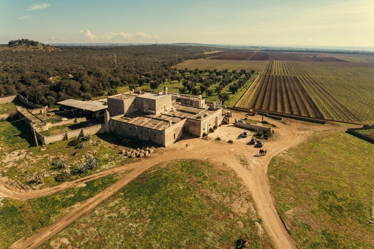 WINE LOVER/ IL CAMMINO DELLA VIGNA D'ORO