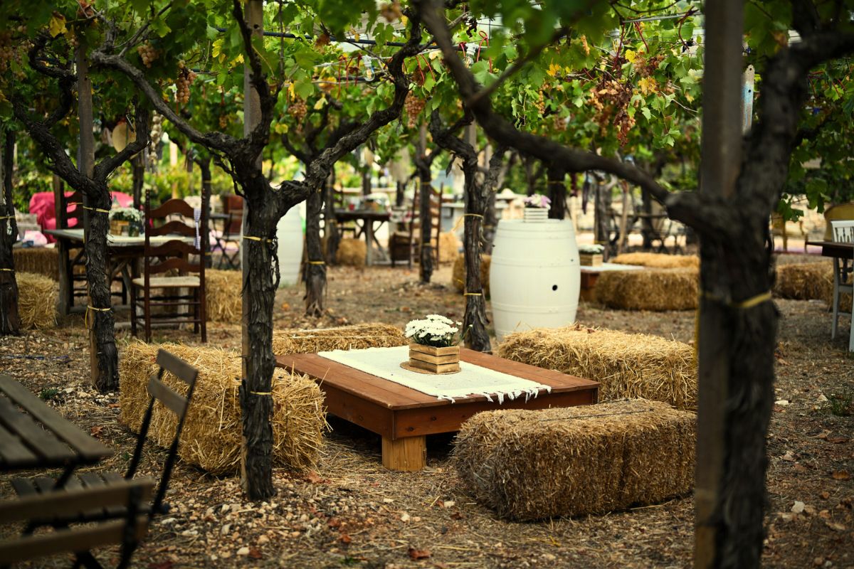 PRÉCOMMANDE - EXPÉRIENCES VITICOLES DANS LA VALLÉE D'ITRIA