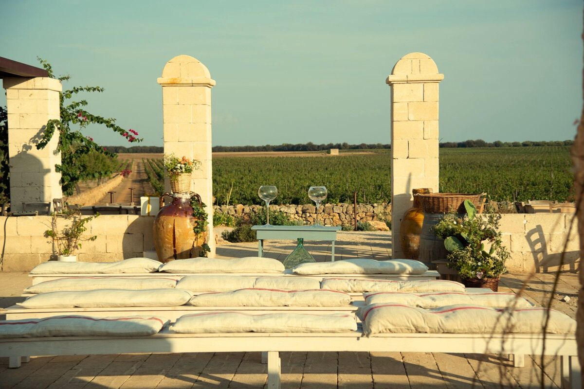 WINE LOVER/ IL CAMMINO DELLA VIGNA D'ORO