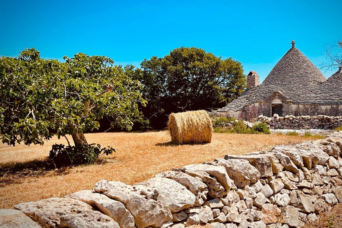 RITUEL DES POUILLES EN AUTOTOUR - L'âme du Pays des Trulli en toute liberté